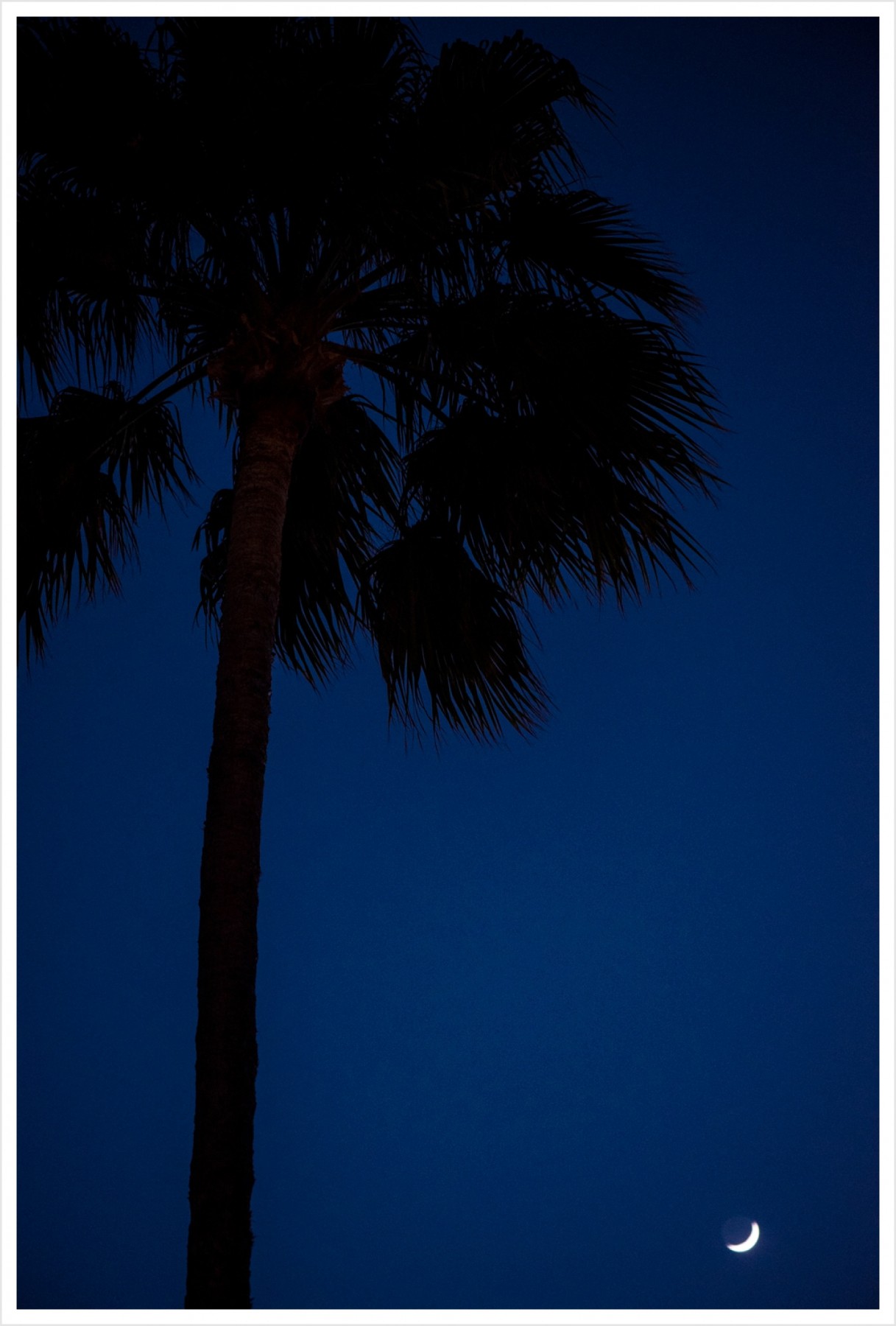 2016-08-12_0018